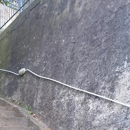 Il Nido Dei Nonni